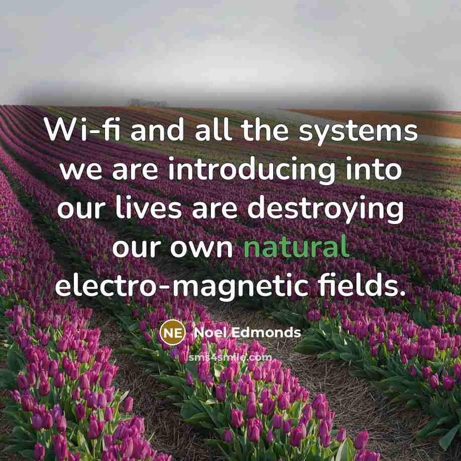 “Wi-fi and all the systems we are introducing into our lives are destroying our own natural electro-magnetic fields.” quote by Noel Edmonds