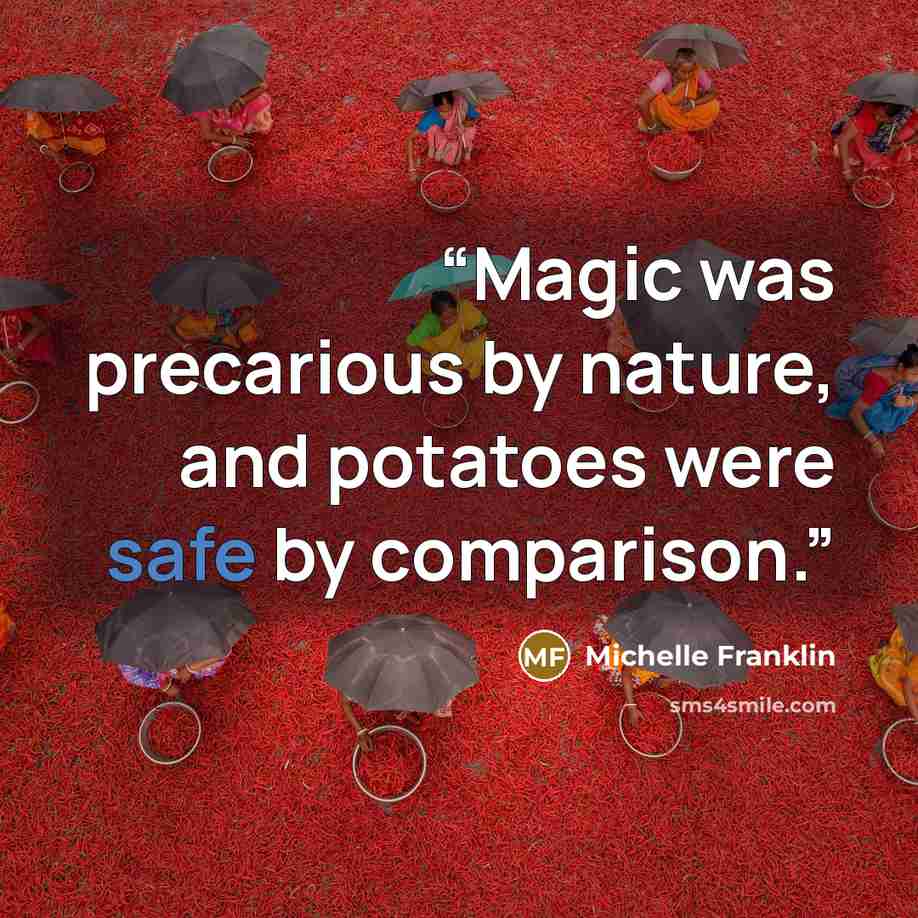 “Magic was precarious by nature, and potatoes were safe by comparison.” quote by Michelle Franklin
