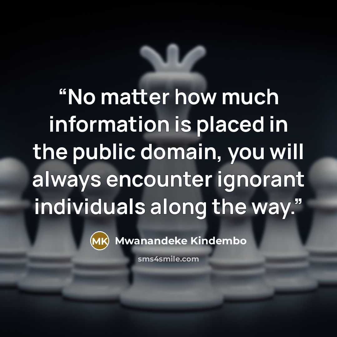 “No matter how much information is placed in the public domain, you will always encounter ignorant individuals along the way.” quote by Mwanandeke Kindembo