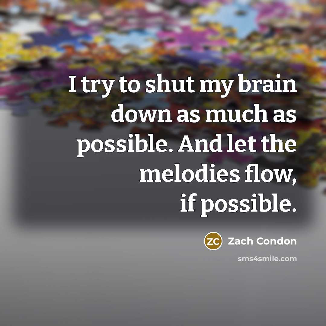 “I try to shut my brain down as much as possible. And let the melodies flow, if possible.” quote by Zach Condon