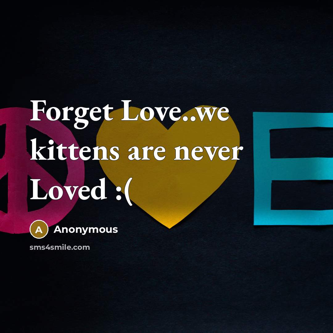 “Forget Love..we kittens are never Loved :(” quote by Anonymous
