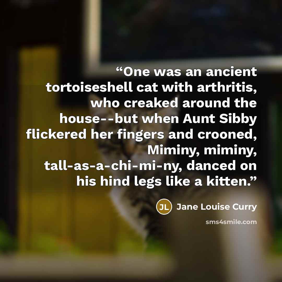 “One was an ancient tortoiseshell cat with arthritis, who creaked around the house--but when Aunt Sibby flickered her fingers and crooned, Miminy, miminy, tall-as-a-chi-mi-ny, danced on his hind legs like a kitten.” quote by Jane Louise Curry
