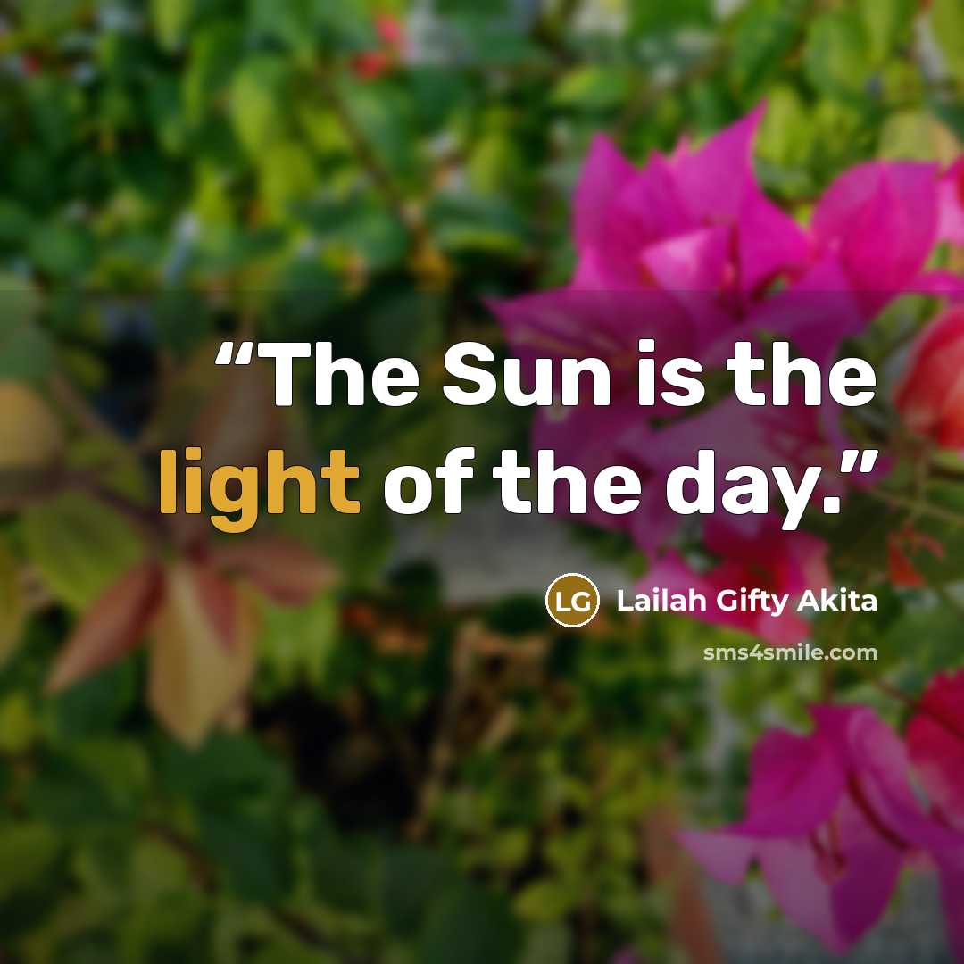 “The Sun is the light of the day.” quote by Lailah Gifty Akita