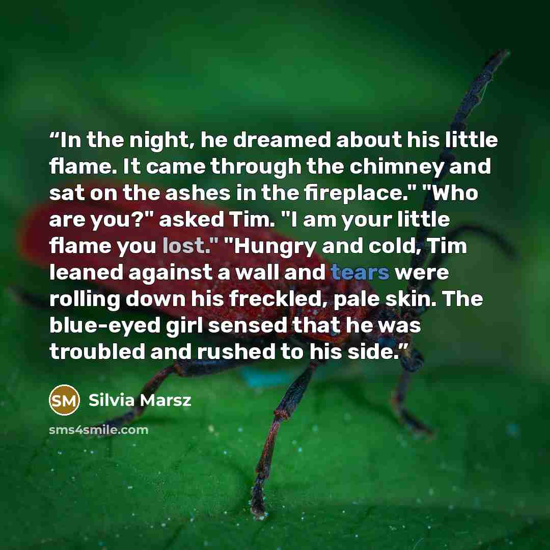 “In the night, he dreamed about his little flame. It came through the chimney and sat on the ashes in the fireplace." "Who are you?" asked Tim. "I am your little flame you lost." "Hungry and cold, Tim leaned against a wall and tears were rolling down his freckled, pale skin. The blue-eyed girl…” quote by Silvia Marsz