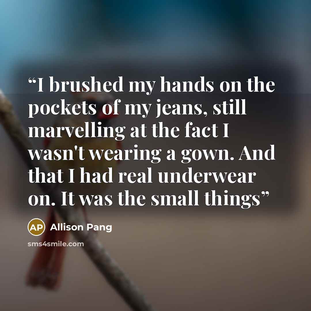 “I brushed my hands on the pockets of my jeans, still marvelling at the fact I wasn't wearing a gown. And that I had real underwear on. It was the small things” quote by Allison Pang