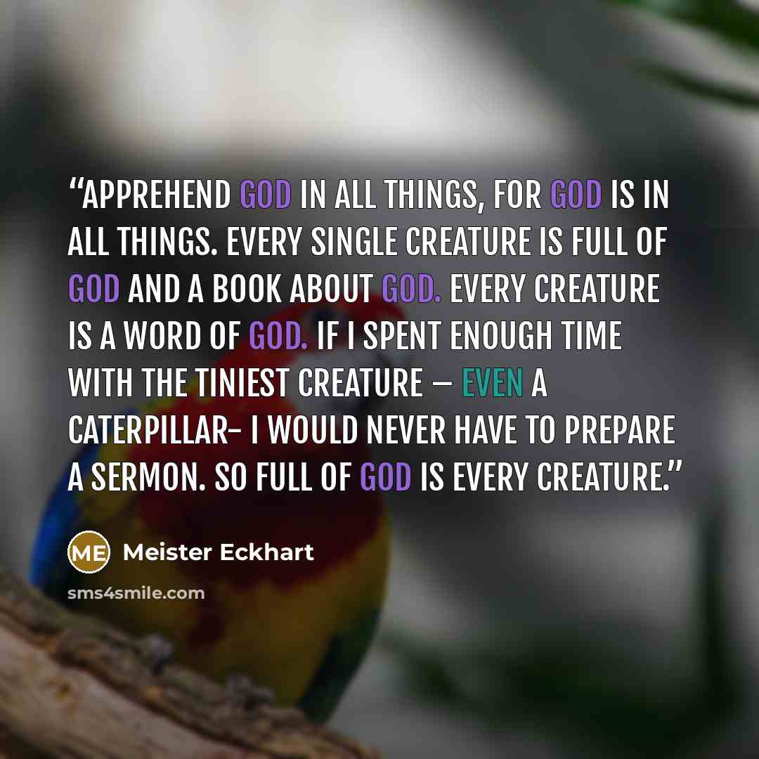 “Apprehend God in all things, for God is in all things. Every single creature is full of God and a book about God. Every creature is a word of God. If I spent enough time with the tiniest creature – even a caterpillar- I would never have to prepare a sermon. So full of God is every creature.” quote by Meister Eckhart