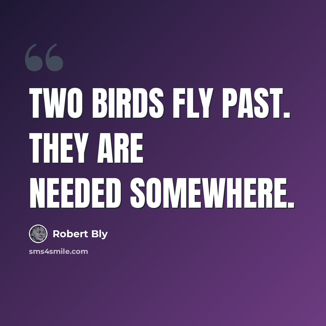 “Two birds fly past. They are needed somewhere.” quote by Robert Bly