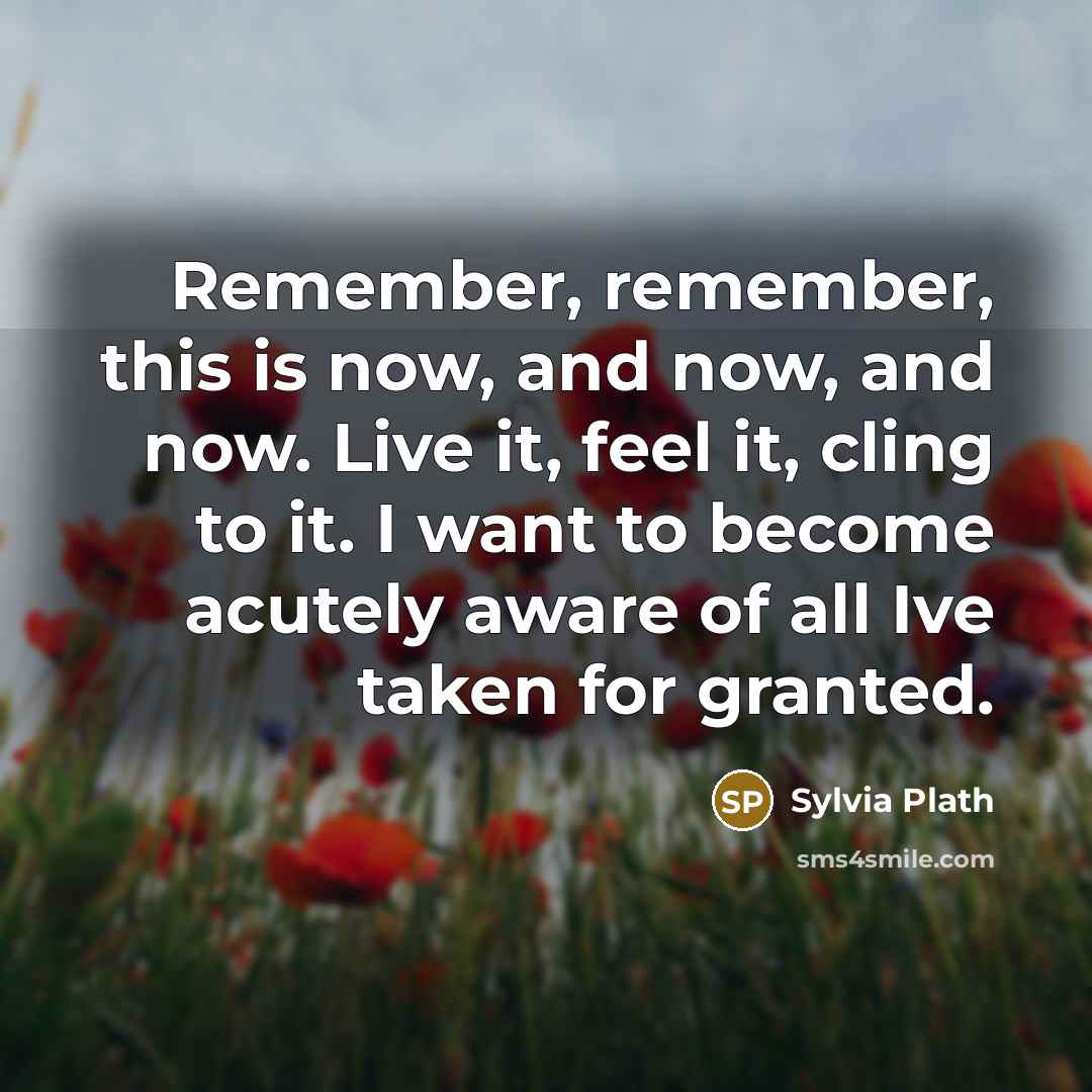 “Remember, remember, this is now, and now, and now. Live it, feel it, cling to it. I want to become acutely aware of all Ive taken for granted.” quote by Sylvia Plath