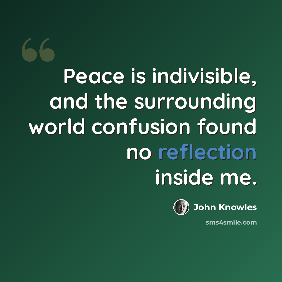 “Peace is indivisible, and the surrounding world confusion found no reflection inside me.” quote by John Knowles