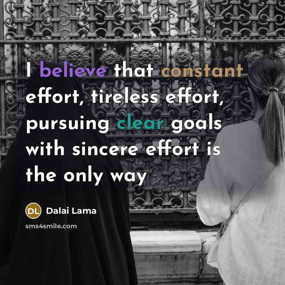 “I believe that constant effort, tireless effort, pursuing clear goals with sincere effort is the only way” quote by Dalai Lama