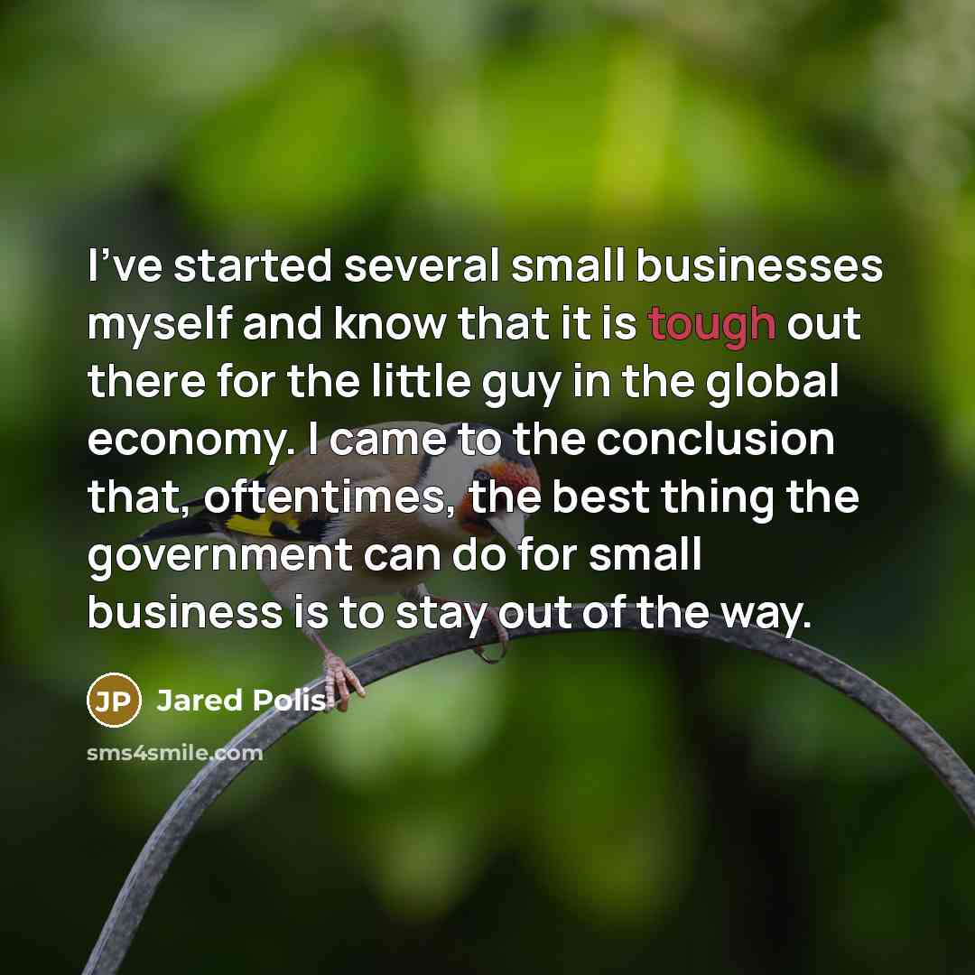 “I've started several small businesses myself and know that it is tough out there for the little guy in the global economy. I came to the conclusion that, oftentimes, the best thing the government can do for small business is to stay out of the way.” quote by Jared Polis