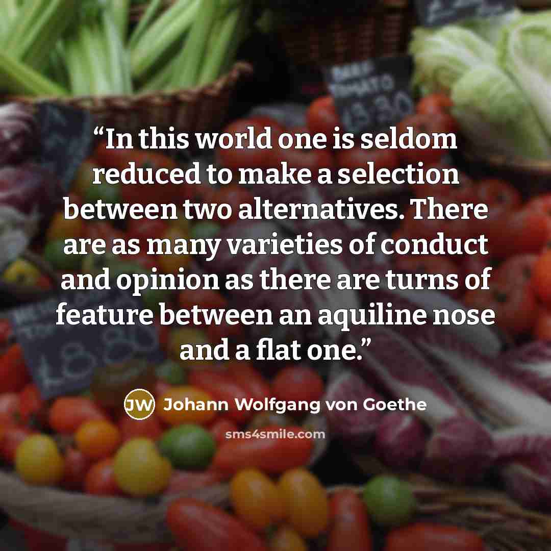 “In this world one is seldom reduced to make a selection between two alternatives. There are as many varieties of conduct and opinion as there are turns of feature between an aquiline nose and a flat one.” quote by Johann Wolfgang von Goethe