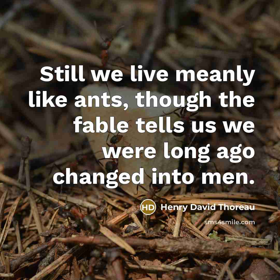 “Still we live meanly like ants, though the fable tells us we were long ago changed into men.” quote by Henry David Thoreau