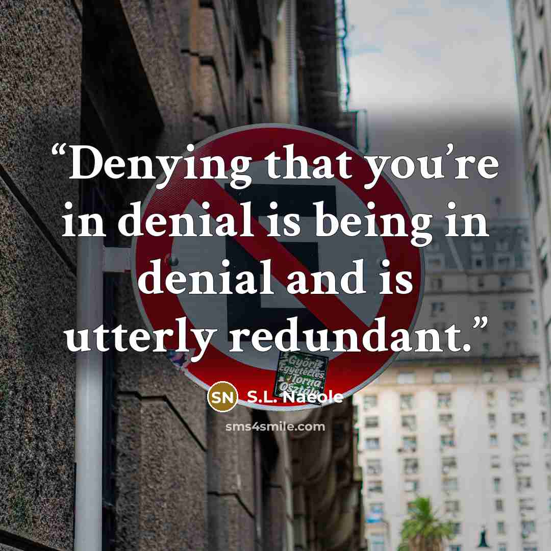 “Denying that you’re in denial is being in denial and is utterly redundant.” quote by S.L. Naeole