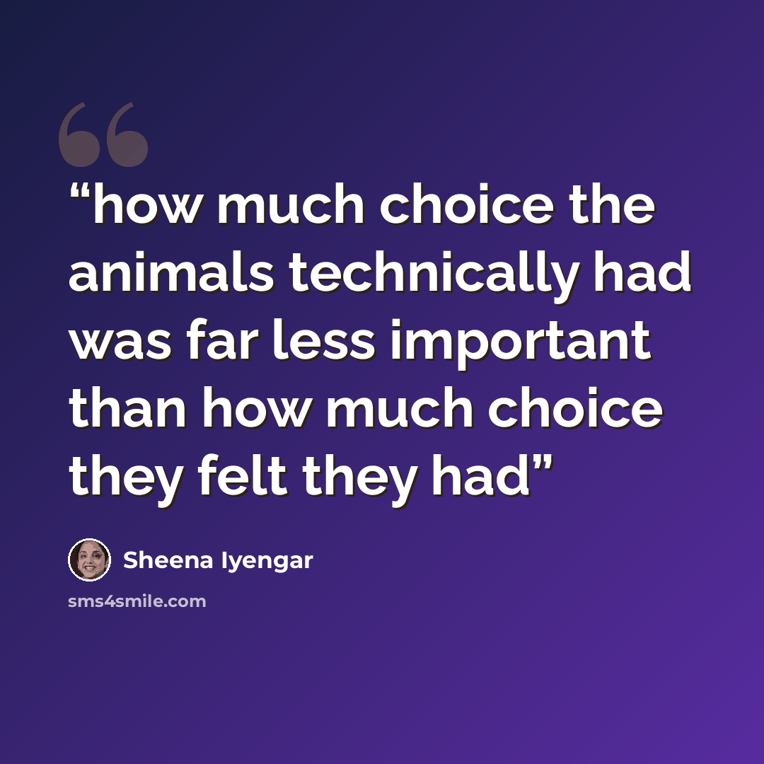 “how much choice the animals technically had was far less important than how much choice they felt they had” quote by Sheena Iyengar
