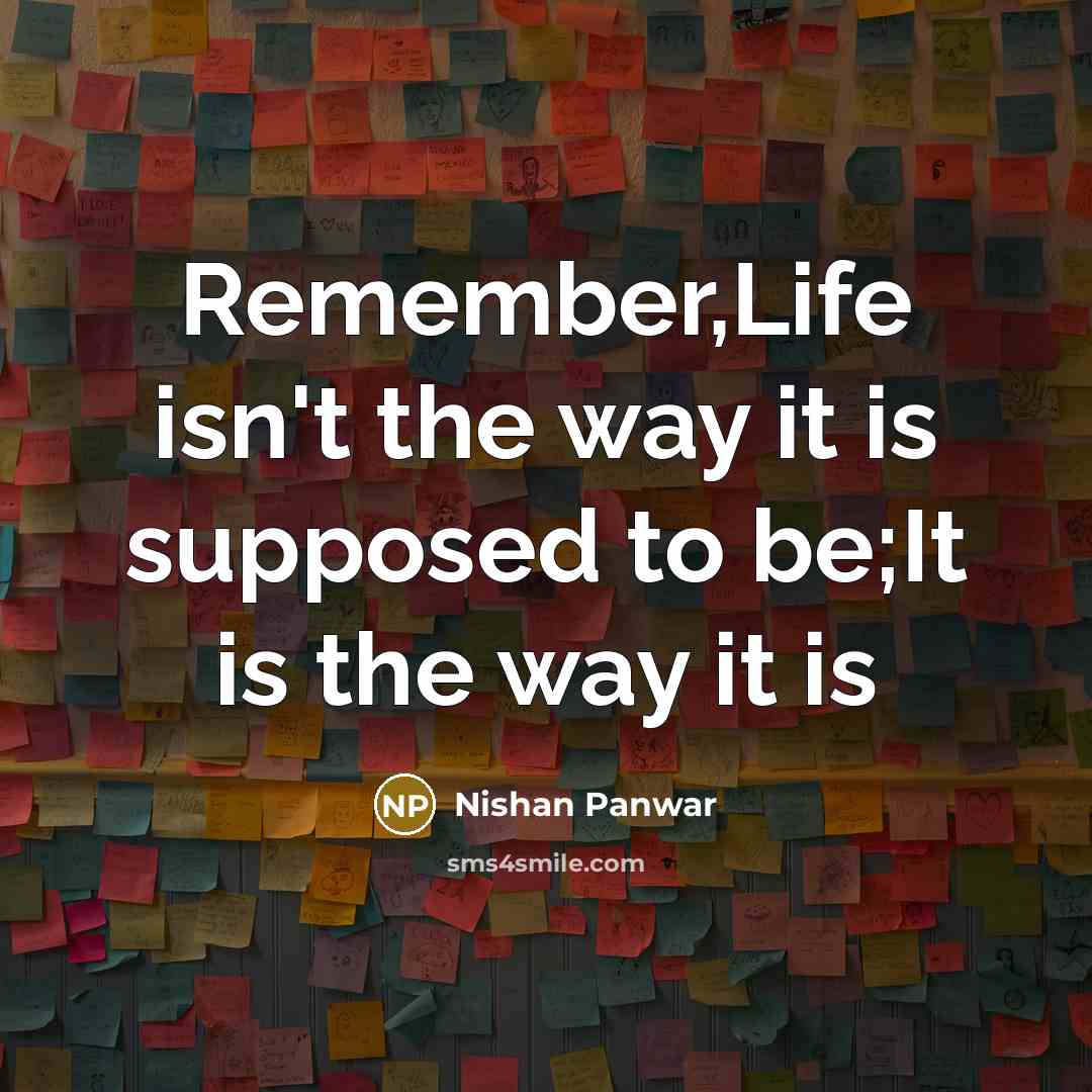 “Remember,Life isn't the way it is supposed to be;It is the way it is” quote by Nishan Panwar