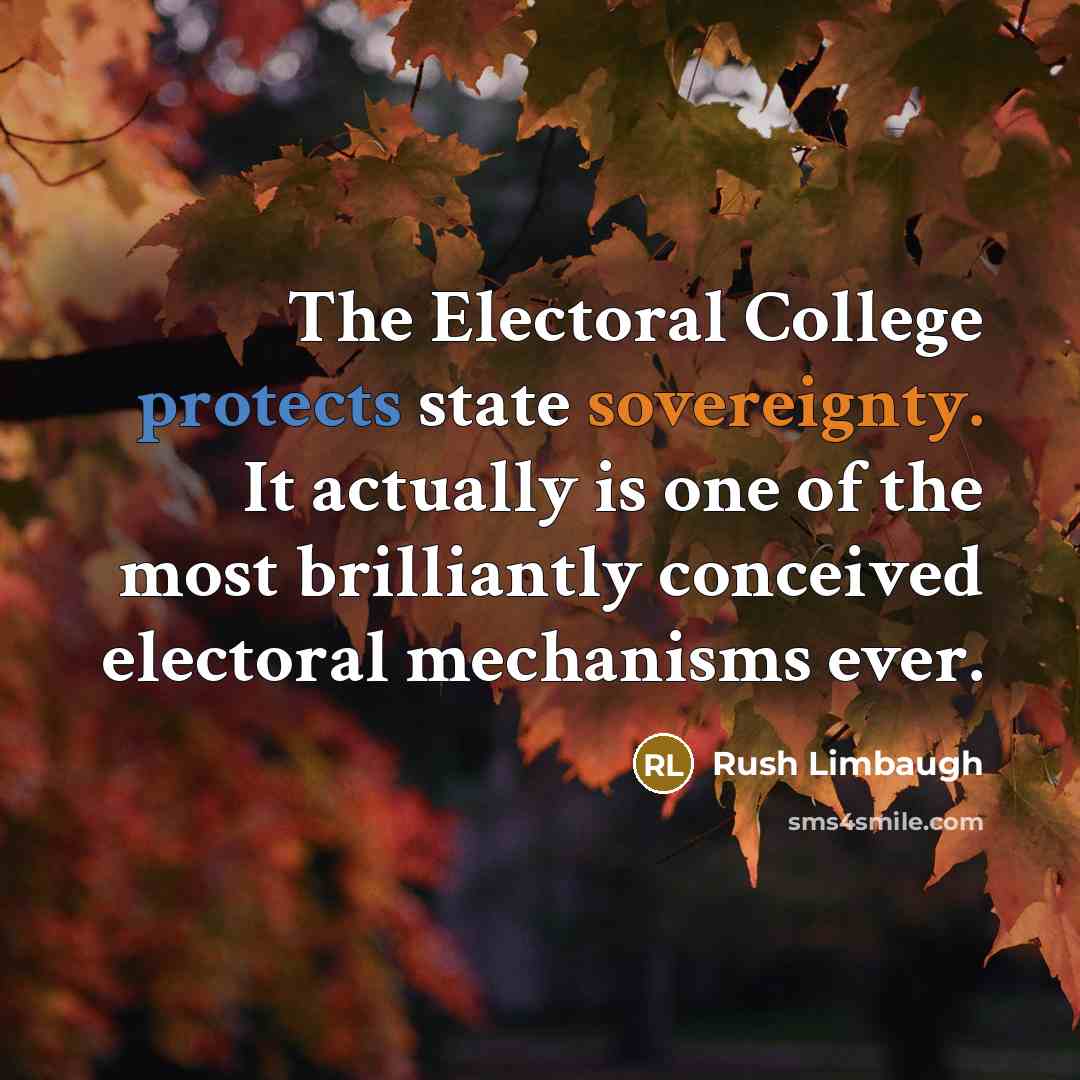 “The Electoral College protects state sovereignty. It actually is one of the most brilliantly conceived electoral mechanisms ever.” quote by Rush Limbaugh