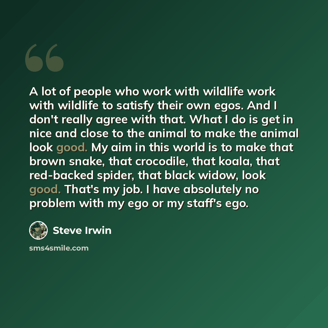 “A lot of people who work with wildlife work with wildlife to satisfy their own egos. And I don't really agree with that. What I do is get in nice and close to the animal to make the animal look good. My aim in this world is to make that brown snake, that crocodile, that koala, that red-backed…” quote by Steve Irwin