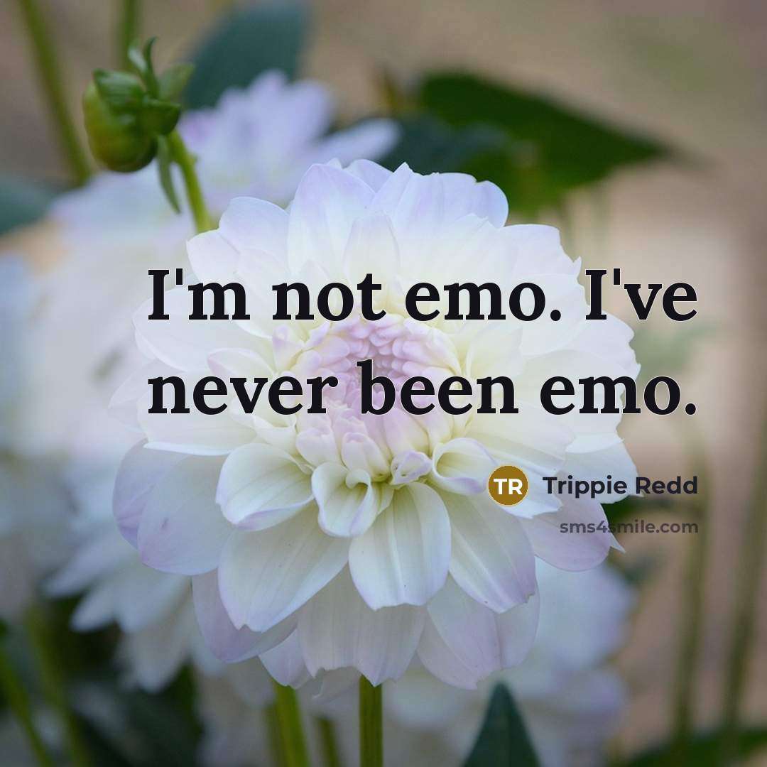 “I'm not emo. I've never been emo.” quote by Trippie Redd
