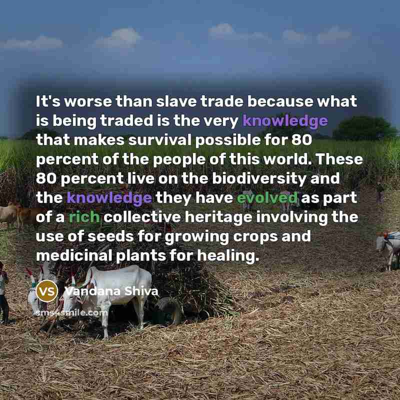 “It's worse than slave trade because what is being traded is the very knowledge that makes survival possible for 80 percent of the people of this world. These 80 percent live on the biodiversity and the knowledge they have evolved as part of a rich collective heritage involving the use of seeds for…” quote by Vandana Shiva