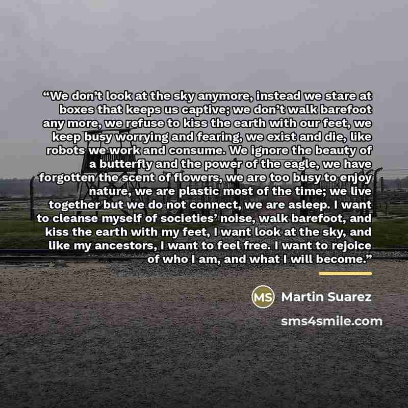 “We don’t look at the sky anymore, instead we stare at boxes that keeps us captive; we don’t walk barefoot any more, we refuse to kiss the earth with our feet, we keep busy worrying and fearing, we exist and die, like robots we work and consume. We ignore the beauty of a butterfly and the power of…” quote by Martin Suarez
