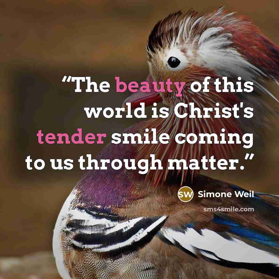 “The beauty of this world is Christ's tender smile coming to us through matter.” quote by Simone Weil