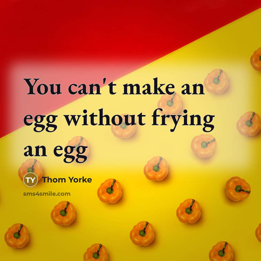 “You can't make an egg without frying an egg” quote by Thom Yorke