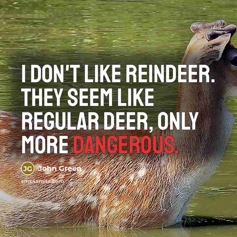 “I don't like reindeer. They seem like regular deer, only more dangerous.” quote by John Green