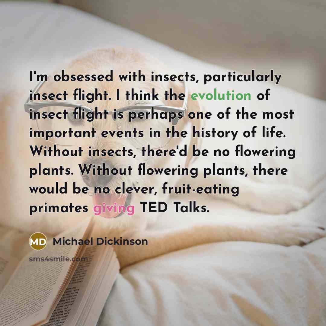 “I'm obsessed with insects, particularly insect flight. I think the evolution of insect flight is perhaps one of the most important events in the history of life. Without insects, there'd be no flowering plants. Without flowering plants, there would be no clever, fruit-eating primates giving TED…” quote by Michael Dickinson