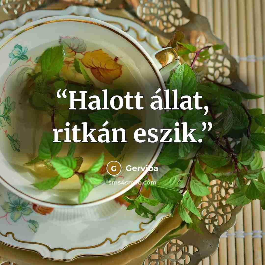 “Halott állat, ritkán eszik.” quote by Gerviba