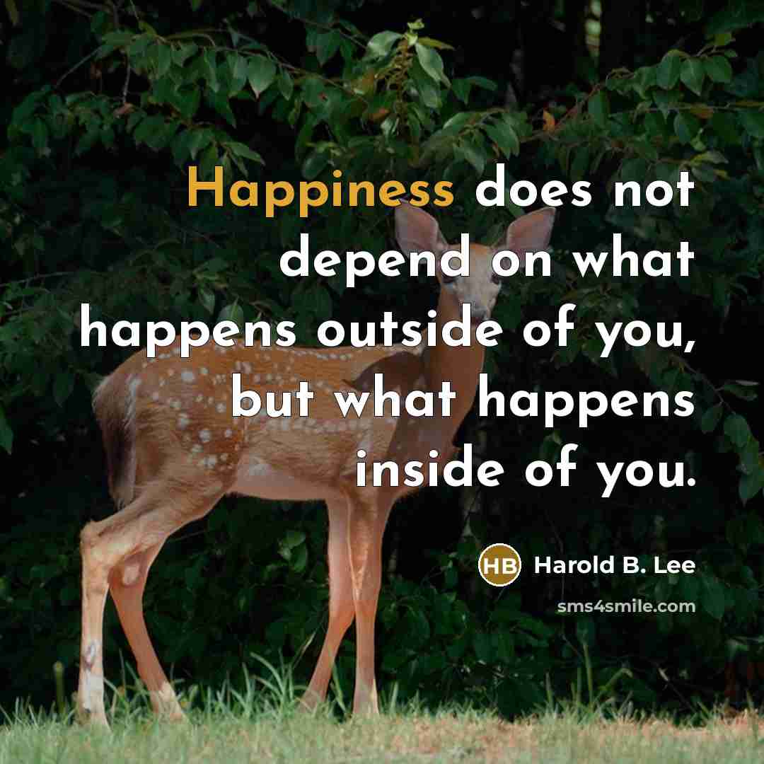 “Happiness does not depend on what happens outside of you, but what happens inside of you.” quote by Harold B. Lee