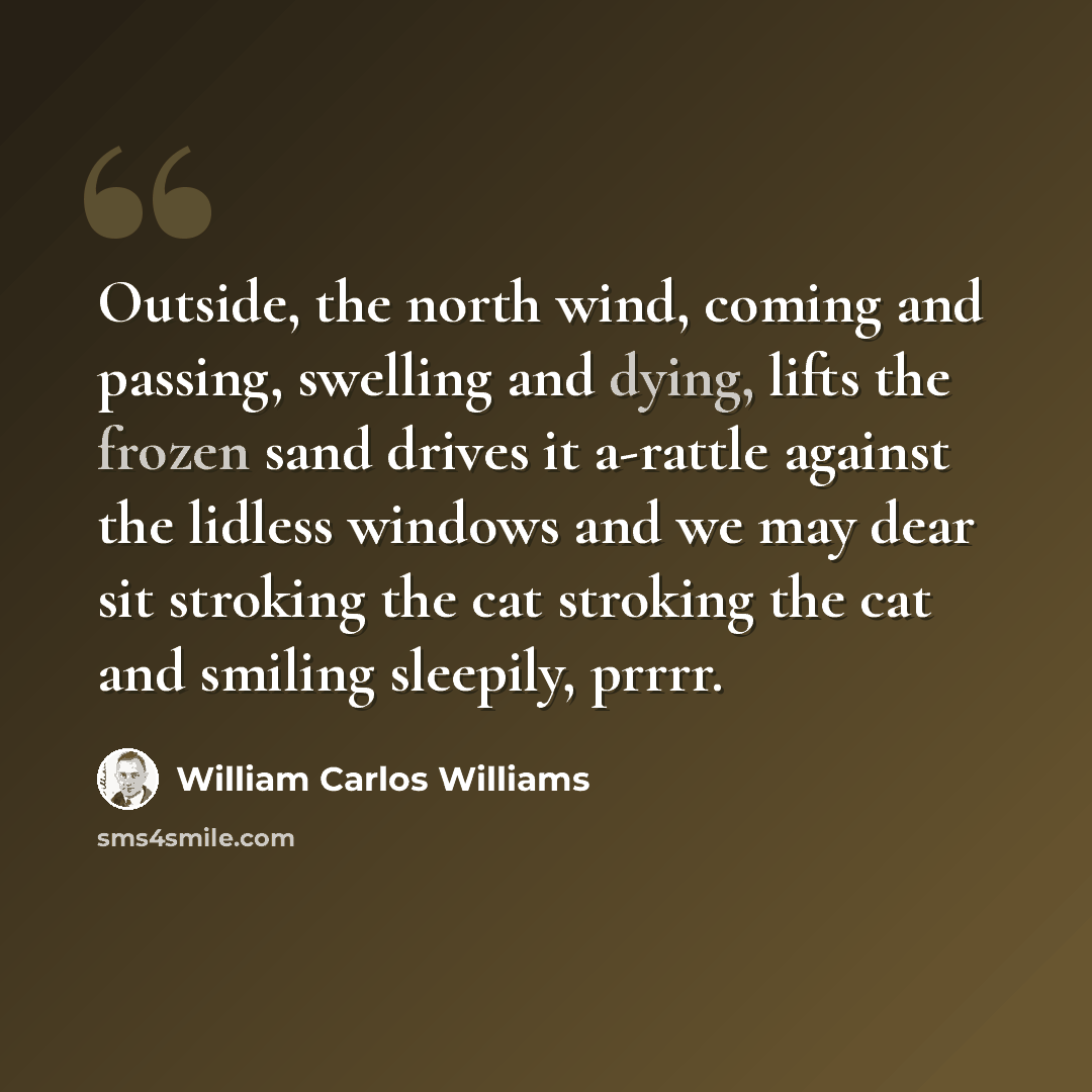 “Outside, the north wind, coming and passing, swelling and dying, lifts the frozen sand drives it a-rattle against the lidless windows and we may dear sit stroking the cat stroking the cat and smiling sleepily, prrrr.” quote by William Carlos Williams