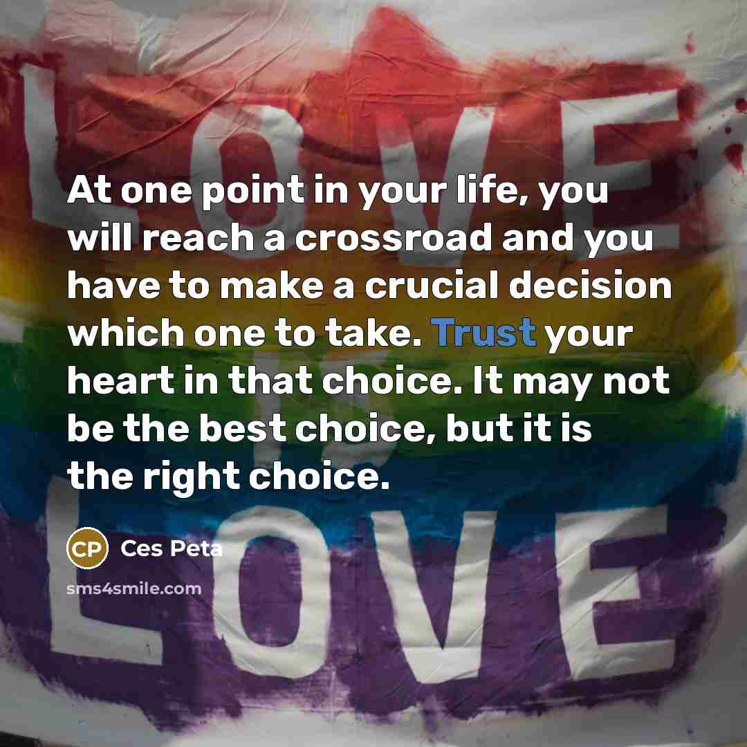 “At one point in your life, you will reach a crossroad and you have to make a crucial decision which one to take. Trust your heart in that choice. It may not be the best choice, but it is the right choice.” quote by Ces Peta