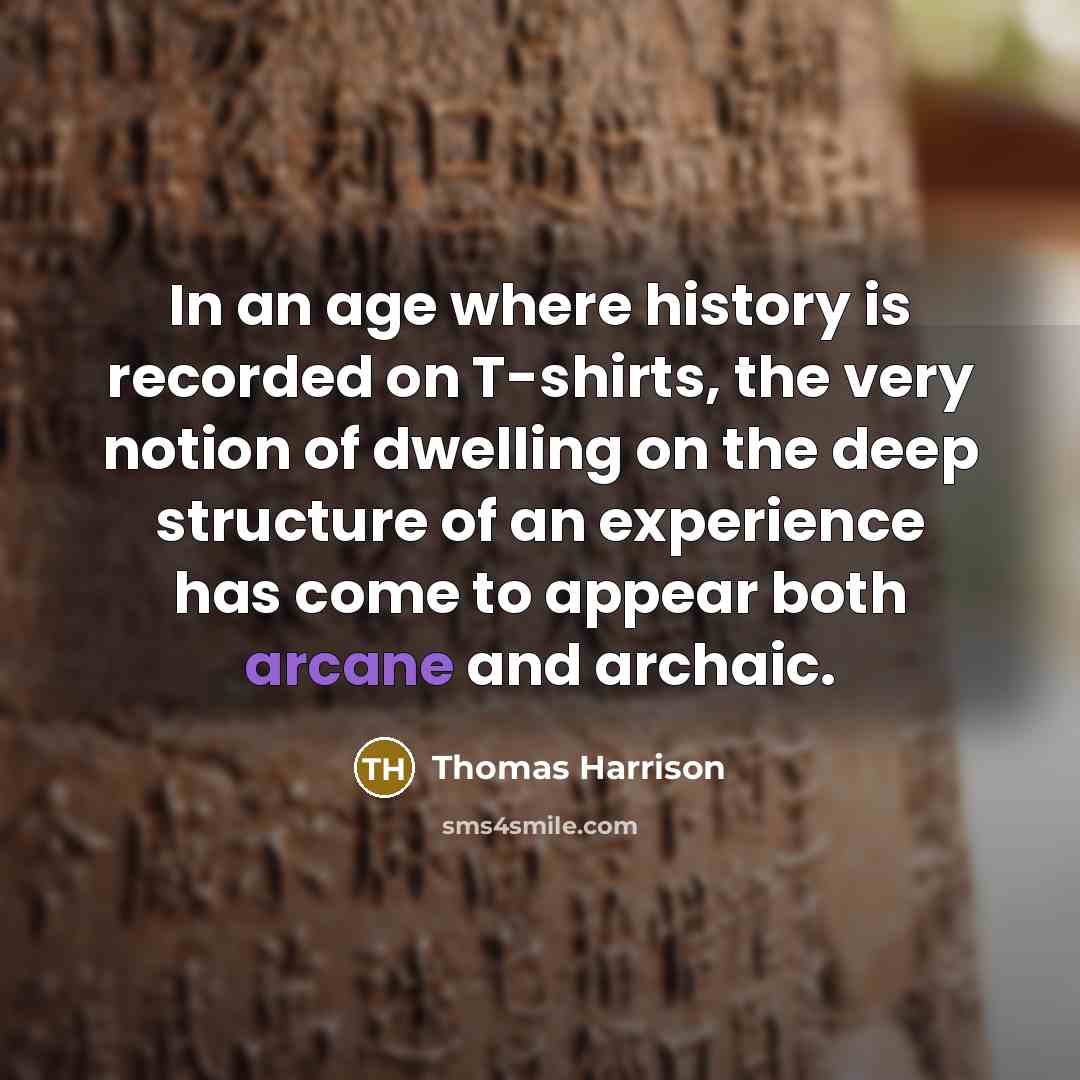 “In an age where history is recorded on T-shirts, the very notion of dwelling on the deep structure of an experience has come to appear both arcane and archaic.” quote by Thomas Harrison
