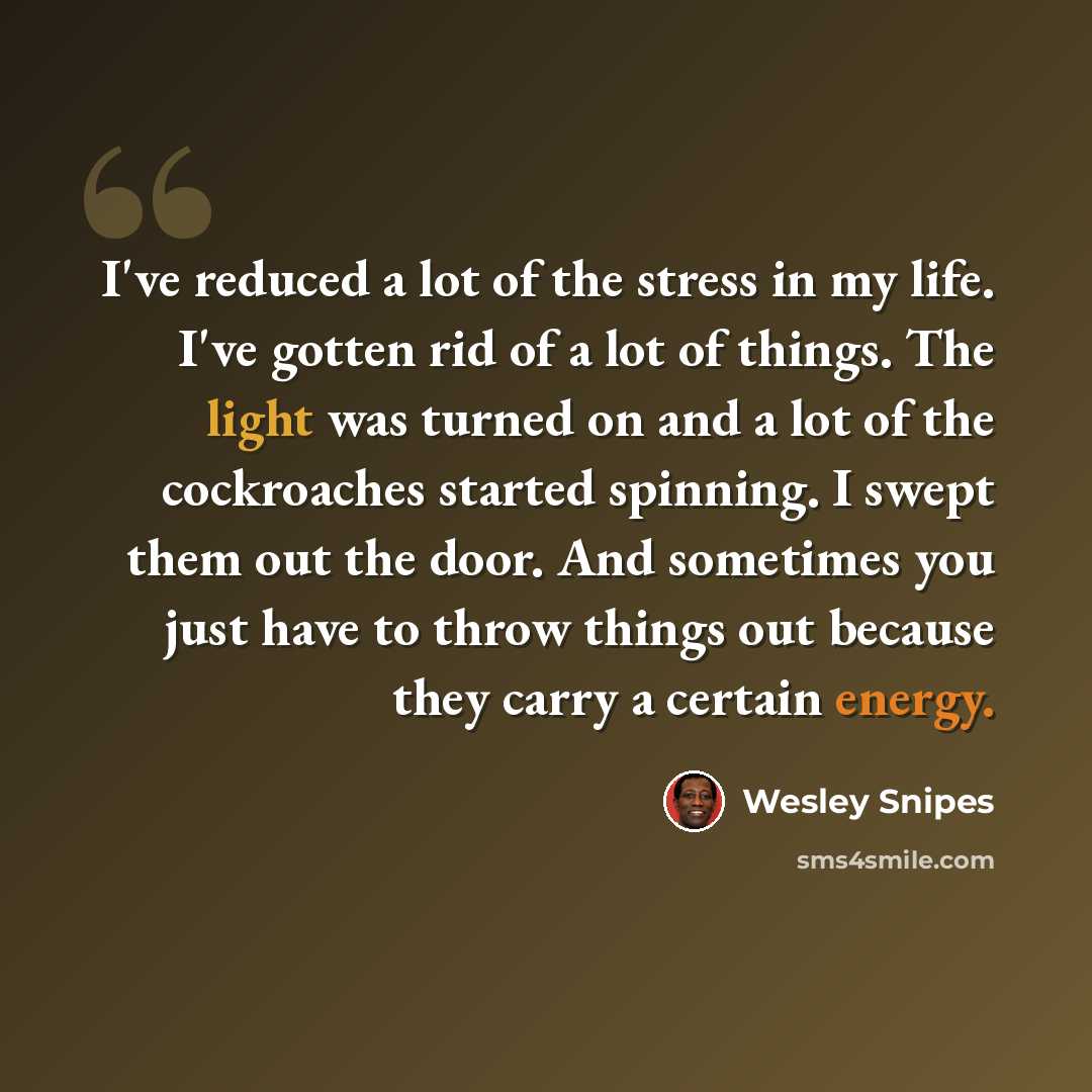 “I've reduced a lot of the stress in my life. I've gotten rid of a lot of things. The light was turned on and a lot of the cockroaches started spinning. I swept them out the door. And sometimes you just have to throw things out because they carry a certain energy.” quote by Wesley Snipes