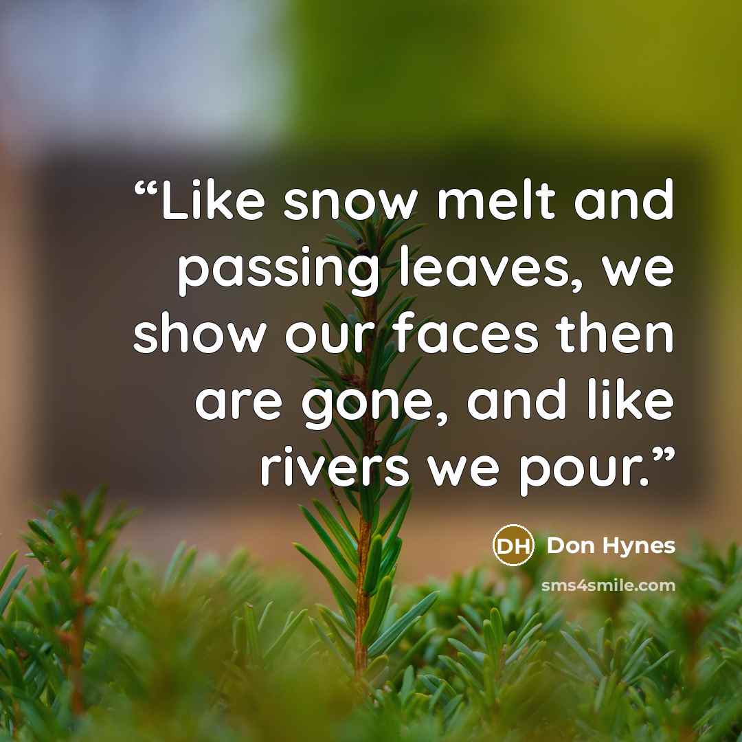 “Like snow melt and passing leaves, we show our faces then are gone, and like rivers we pour.” quote by Don Hynes