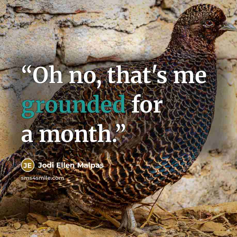 “Oh no, that's me grounded for a month.” quote by Jodi Ellen Malpas