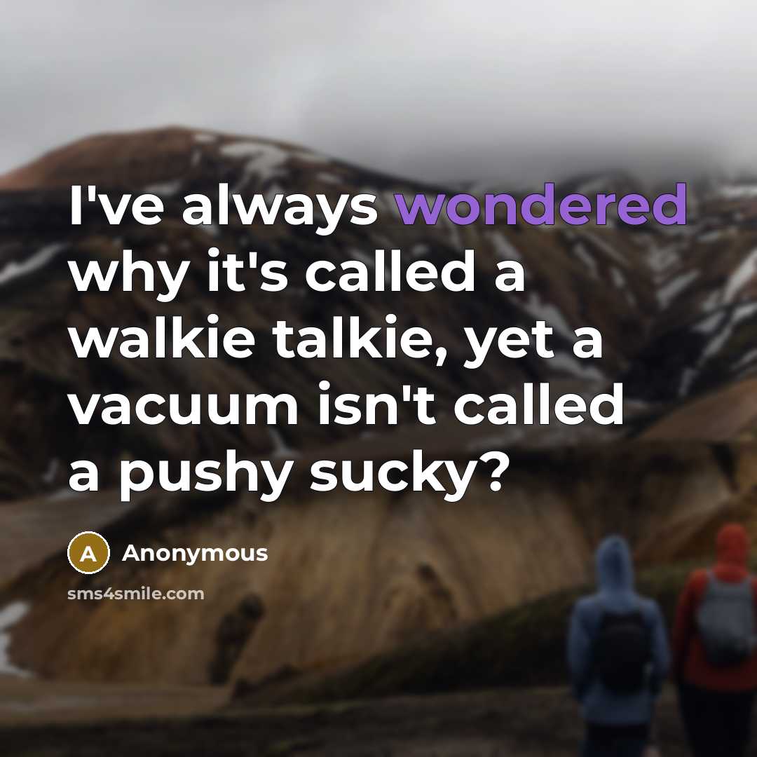 “I've always wondered why it's called a walkie talkie, yet a vacuum isn't called a pushy sucky?” quote by Anonymous