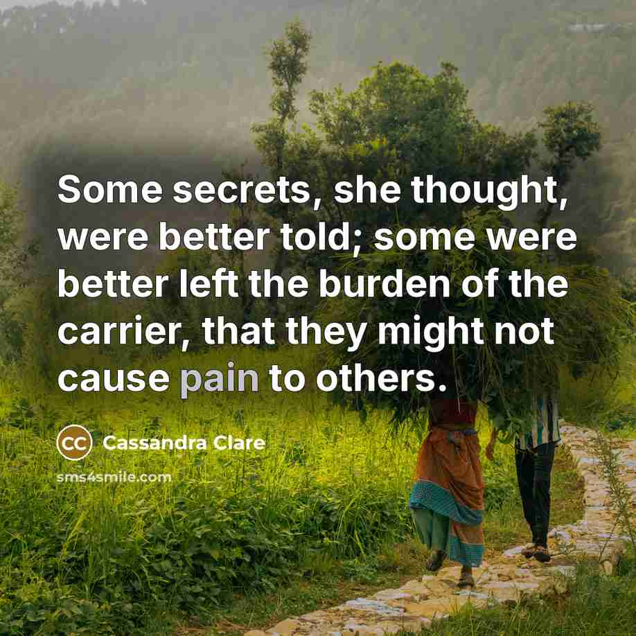 “Some secrets, she thought, were better told; some were better left the burden of the carrier, that they might not cause pain to others.” quote by Cassandra Clare