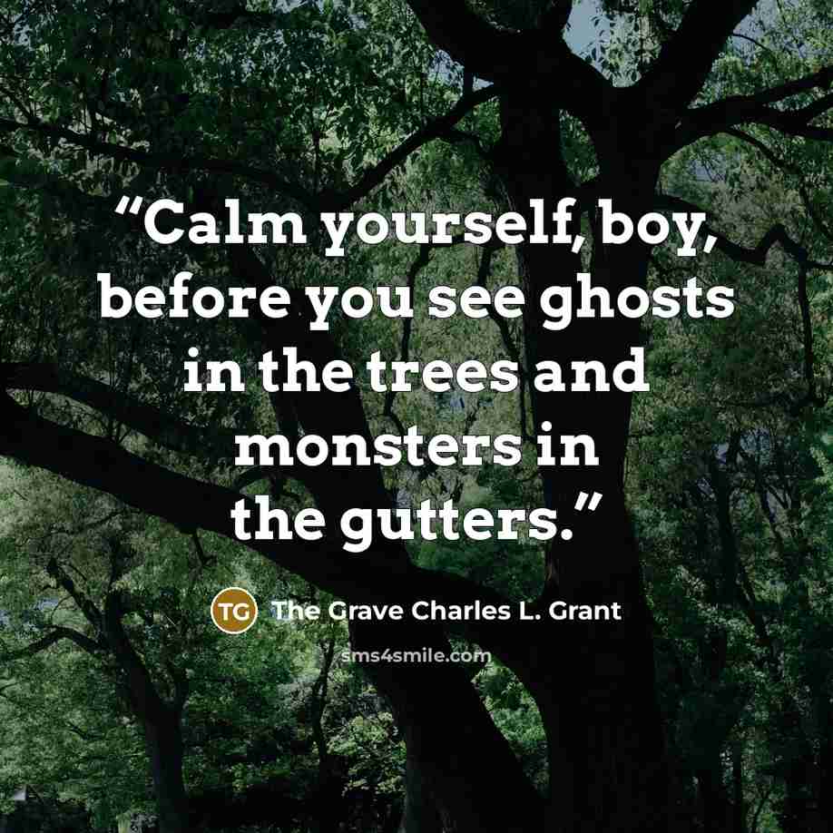 “Calm yourself, boy, before you see ghosts in the trees and monsters in the gutters.” quote by The Grave Charles L. Grant