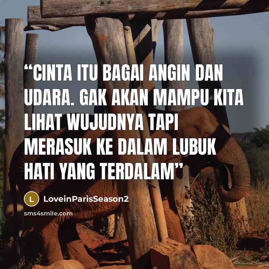 “Cinta itu bagai angin dan udara. Gak akan mampu kita lihat wujudnya tapi merasuk ke dalam lubuk hati yang terdalam” quote by LoveinParisSeason2