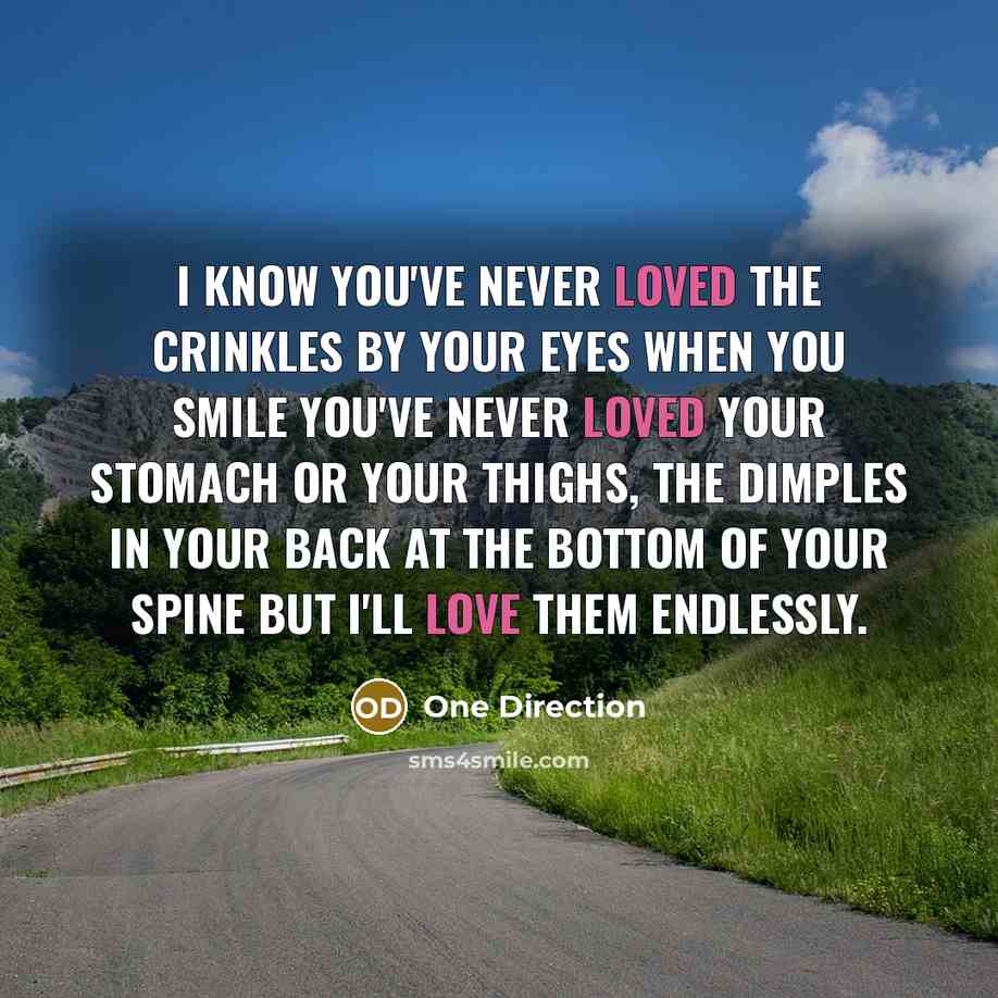 “I know you've never loved the crinkles by your eyes when you smile you've never loved your stomach or your thighs, the dimples in your back at the bottom of your spine but I'll love them endlessly.” quote by One Direction