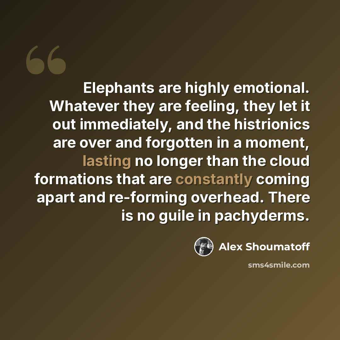 “Elephants are highly emotional. Whatever they are feeling, they let it out immediately, and the histrionics are over and forgotten in a moment, lasting no longer than the cloud formations that are constantly coming apart and re-forming overhead. There is no guile in pachyderms.” quote by Alex Shoumatoff