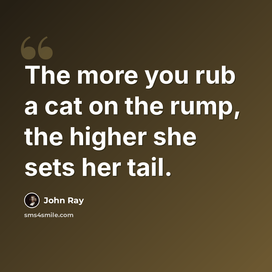 “The more you rub a cat on the rump, the higher she sets her tail.” quote by John Ray