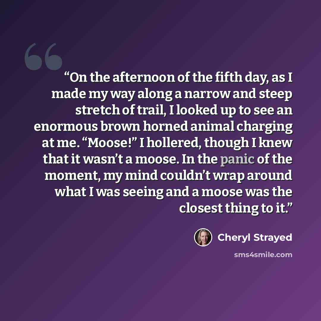 “On the afternoon of the fifth day, as I made my way along a narrow and steep stretch of trail, I looked up to see an enormous brown horned animal charging at me. “Moose!” I hollered, though I knew that it wasn’t a moose. In the panic of the moment, my mind couldn’t wrap around what I was seeing…” quote by Cheryl Strayed