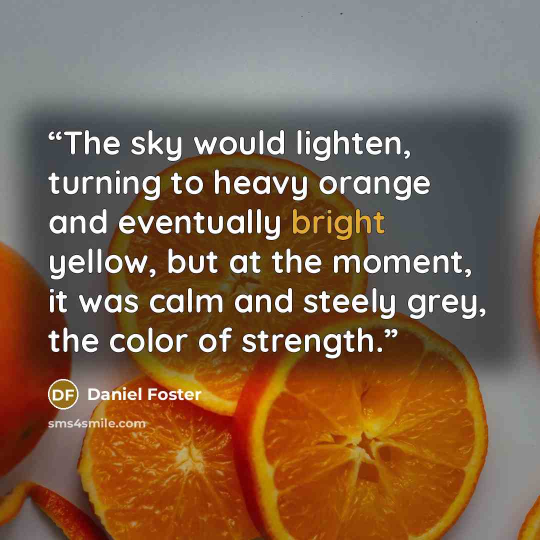 “The sky would lighten, turning to heavy orange and eventually bright yellow, but at the moment, it was calm and steely grey, the color of strength.” quote by Daniel Foster