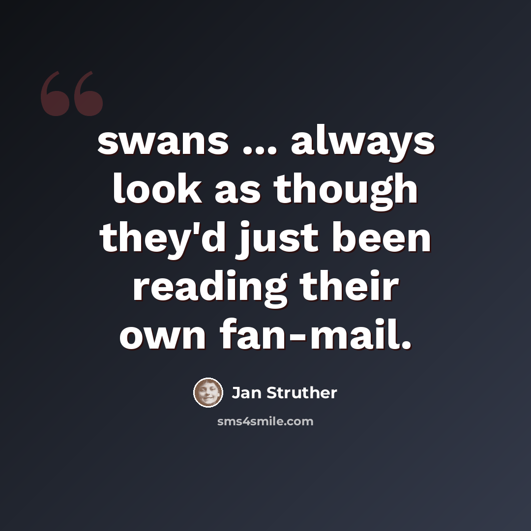 “swans ... always look as though they'd just been reading their own fan-mail.” quote by Jan Struther
