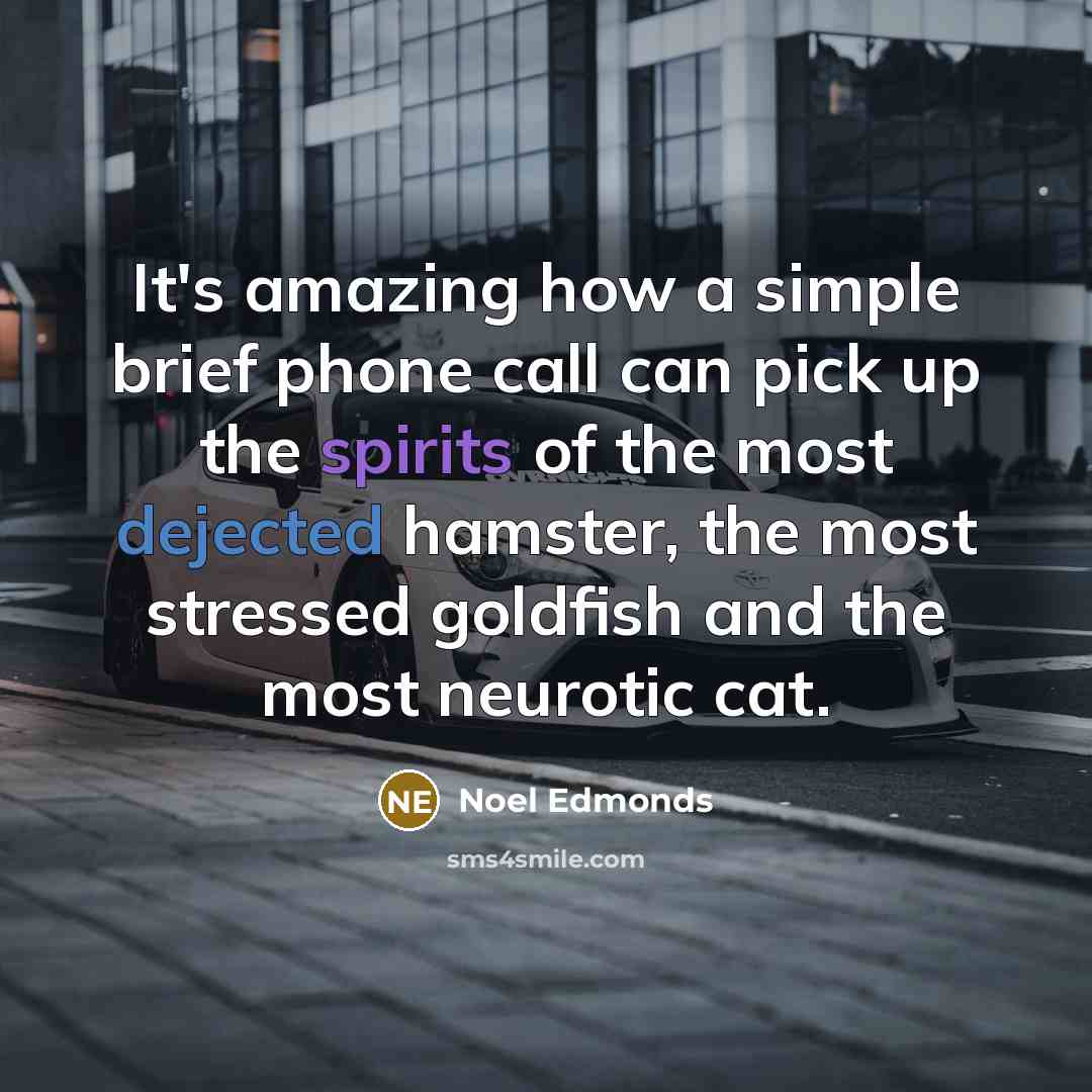 “It's amazing how a simple brief phone call can pick up the spirits of the most dejected hamster, the most stressed goldfish and the most neurotic cat.” quote by Noel Edmonds