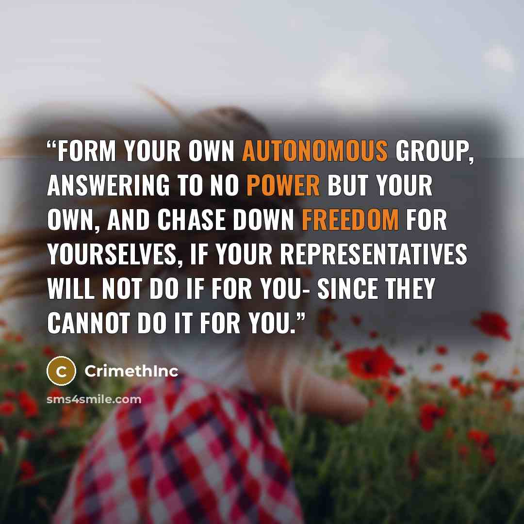 “Form your own autonomous group, answering to no power but your own, and chase down freedom for yourselves, if your representatives will not do if for you- since they cannot do it for you.” quote by Crimethinc