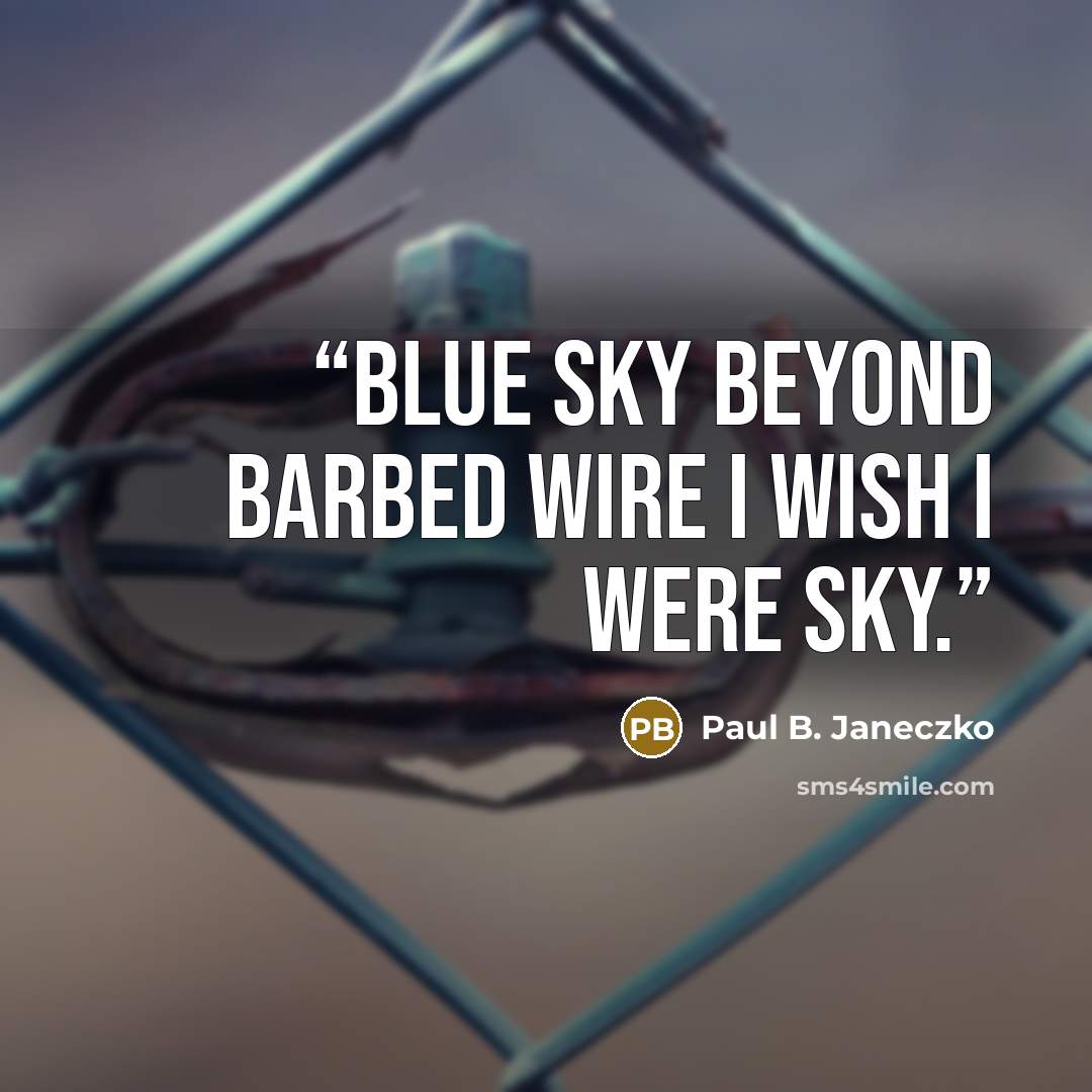 “Blue sky beyond barbed wire I wish I were sky.” quote by Paul B. Janeczko